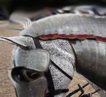 Flea Bitten Horse with Armor