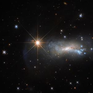 Star from the Lizard Constellation - NASA